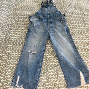 We the Free Distressed cropped overall SZ 27
